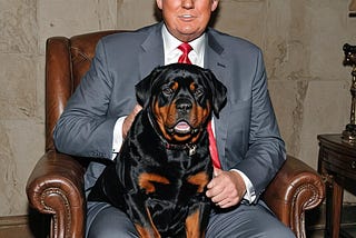 Trumpy is a powerful dogowner. Nothing more than that.