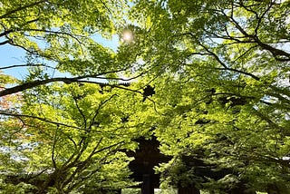 Off the Map in Kyoto