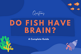 Do Fish Have a Brain?