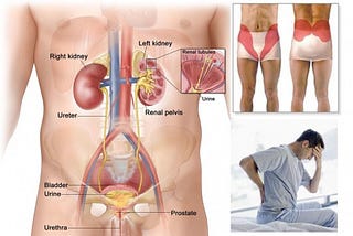 A Prominent Centre to Treat Urological Problems
