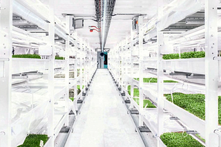 Digital Twins in Urban Farming