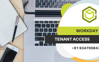Best Workday Tenant Access for practice
