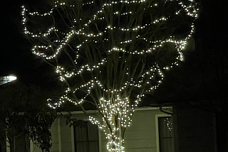 A tree in a front yard adorned with Christmas lights.