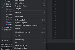 Fix Flutter All Pod Errors issue