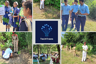TechTrees — Launch Party
