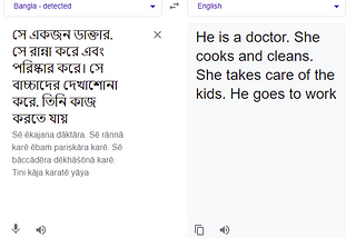 The Forceful and Insistent Application of Gender Stereotypes by Google Translate
