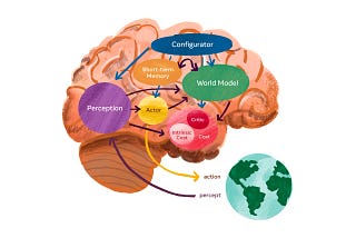 What Are World Models?