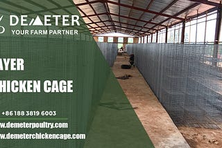 New Layer Poultry Chicken Farming Battery Cages for Sale in Tanzania Location: Dar es Salaam, Tanzania Farm Situation: 10,000pcs layer chickens Cage Type: A-type 4-tier layer battery chicken cage Shed size: 88*8*3m Life Span: 15–20 years Embrace the future of poultry farming with our state-of-the-art cage system. Upgrade your farm today together with Demeter Chicken Cage — Get your solution — 🔉 Leave your comment 🔉 Contact us on WhatsApp: +86 188 3819 6003 🔉 Send a message on the Website