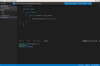 Getting Started with .NET Core on VS Code