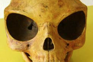 The Sealand Skull