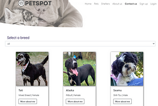 PetSpot — Portfolio Project