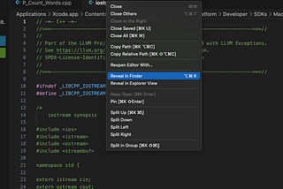 How to add bits/stdc++ in VS code