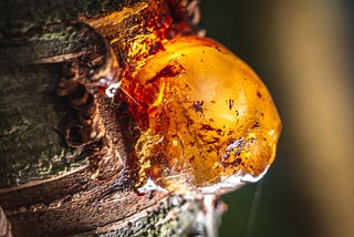 “The Marvels of Tree Resins