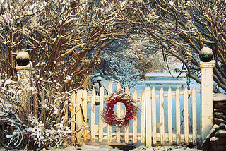 First Snowfall, Peaks Island, Maine