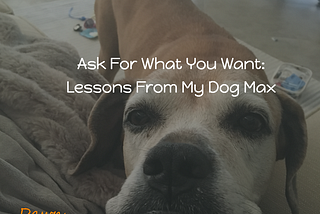 Ask For What You Want: Lessons From My Dog Max