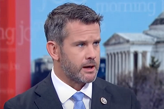 An Open Letter to My Fellow Liberals: Stop Behaving Like Adam Kinzinger’s “Nasty Cousins”