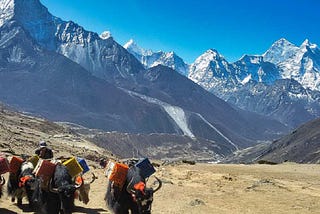Best Winter Treks in Nepals