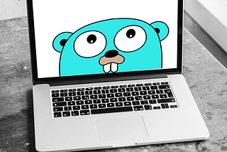 Testing Golang code: our approach at Wildlife
