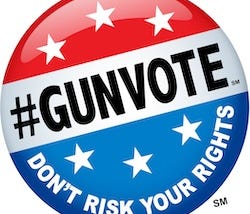 Gun Vote 2024
