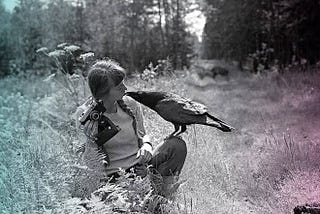 A Bruxa da Floresta: A Vida Selvagem de Simona Kossak