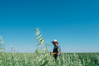 A Cautionary note on Ecosystem Service Markets for Soil Carbon