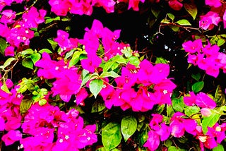 Colors of the Mind