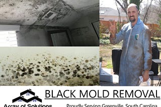 Black Mold Specialist in Greenville SC — Array of Solutions