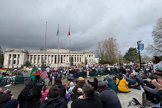 A thousand people sitting on Capitol building steps, and standing in the street, with grey clouds above us all.