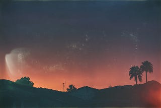 Palm trees in a hot and sticky sunset, the main image to Two Brothers, One Phonecall by Martin Wærn.