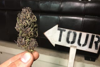 Tonight is the town hall meeting on marijuana