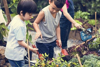 Little green fingers — gardening with kids