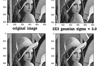 A Beginners Guide to Computer Vision (Part 1)-Filtering