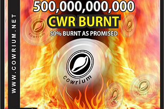 Cowrium takes another Giant step, Burn 50% overall Token as Promised