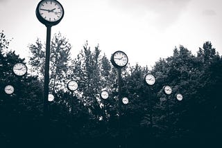 A forest of clocks on poles. Many clocks on many poles agianst the backdrop of a forest.