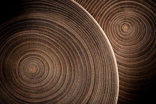 Role of Dendrochronology in Climate Change Research