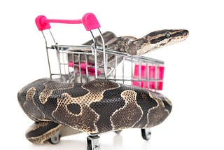 Keeping Reptiles: You’re Using MorphMarket Incorrectly