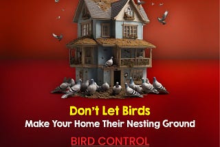 The Importance of Bird Control Services in Urban Environments”
