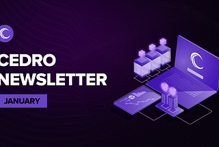 Cedro January Newsletter💜