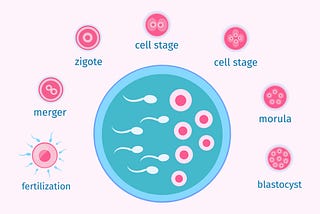 Embryonic Stem Cells and creating artificial gamets and embryo’s.