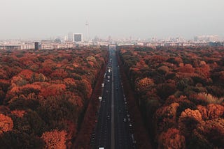 Tokyo, Caracas, Berlin and beyond