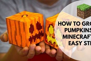 [6 Easy Steps] How to Grow Pumpkins in Minecraft