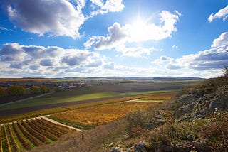 Ingelheim and Bingen: A Local’s Tour of German Wine Country