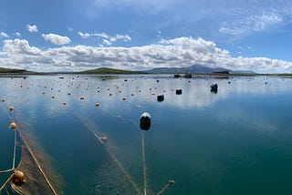 Harvesting Under Water: A journey into the World of Seaweed Farming