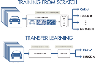 Unleashing the Power of Transfer Learning in Artificial Intelligence