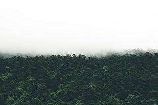 Ensaios.05 — Aproximações entre Educação Ambiental e Educação Patrimonial em Unidade de…