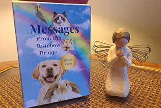 A box of oracle cards leans against a lamp on an end table with a figurine next to it of a blond haired girl with wings on her knees praying. The oracle card shows a blue sky with white cloud and a rainbow with pictures of a bird, cat, hamster, dog and rabbit. The box says: Messages From the Rainbow Bridge. Oracle Cards.