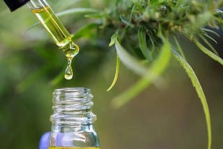 Unveiling the Aroma: Cannabis Terpene Extraction