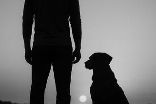 The Lie of Being “Okay”: Why Survival Isn’t the Same as Healing