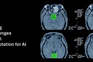 medical data annotation