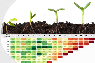 Analyzing Customer Retention Via Cohort Analysis
